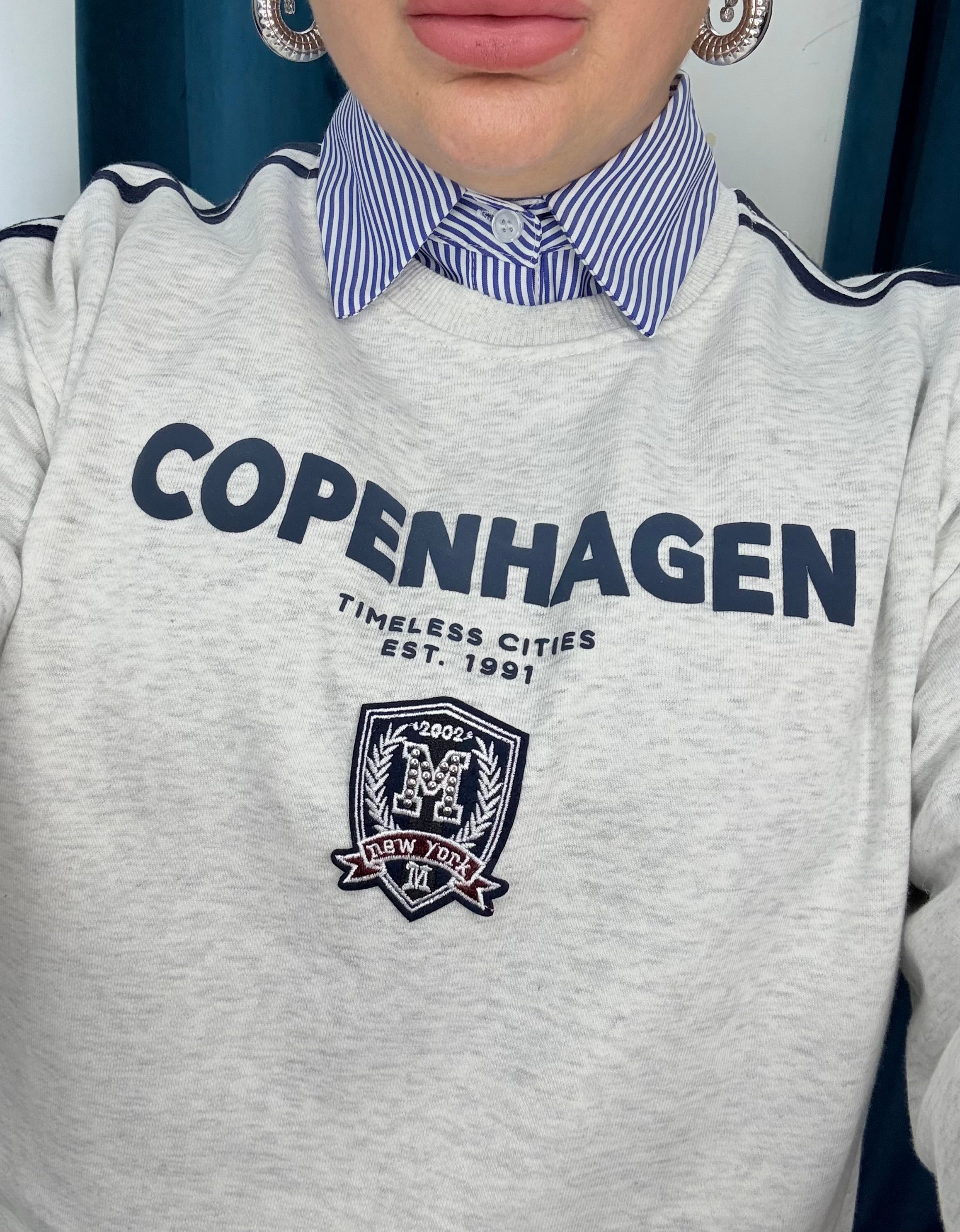 Felpa Copenhagen Grey